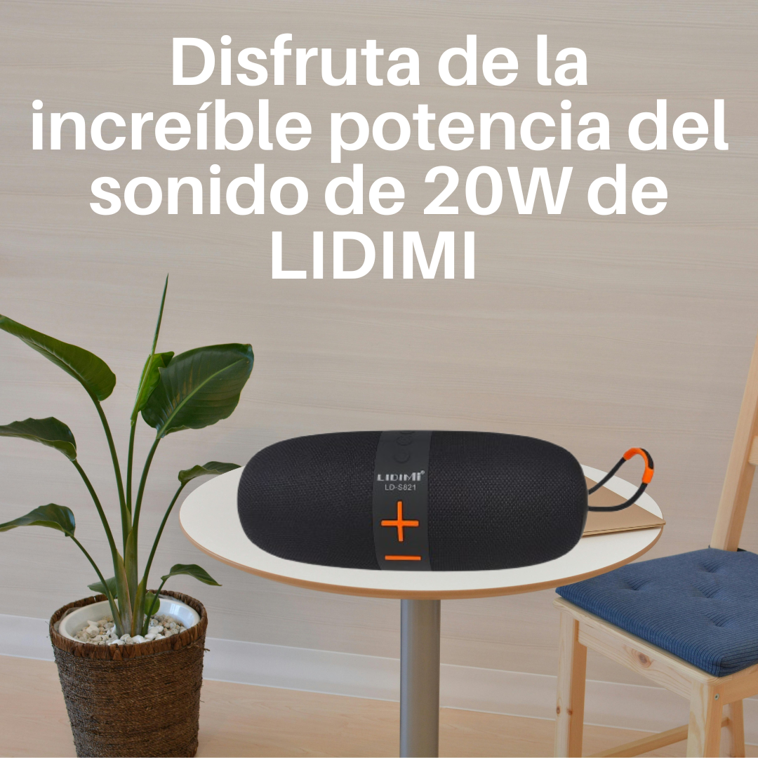 LIDIMI LD- 821 Parlante Portatil